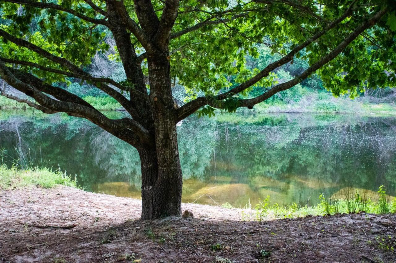 Quinta Da Lontra Villa Tabua  Ngoại thất bức ảnh